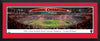 College-Georgia Bulldogs 2023 College Football Playoff Back-to-Back National Champions Panoramic
