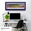 College-East Carolina Pirates Football Panoramic Picture - Dowdy-Ficklen Stadium