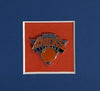 New York Knicks Custom Frame Kit - 8x10 vertical photo with pin