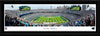 Carolina Panthers Poster - Bank of America Stadium