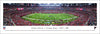 Atlanta Falcons Panoramic Picture - Georgia Dome Panorama