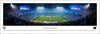 Carolina Panthers Panoramic Picture - Bank of America Stadium