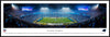 Carolina Panthers Panoramic Picture - Bank of America Stadium