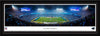 Carolina Panthers Panoramic Picture - Bank of America Stadium