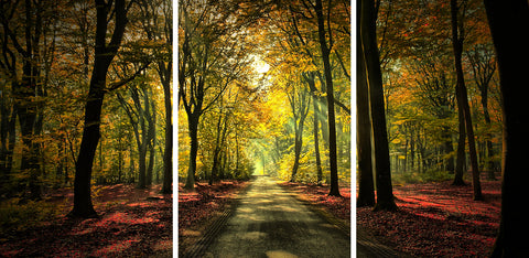 HD Acrylic Triptych -  Beige Wall Tree