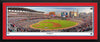 MLB Braves Panoramic Picture - SunTrust Park MLB Wall Decor