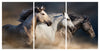 Animals & Wildlife Acrylic Wall Art Horses Run Triptych