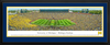 Panoramic- Michigan Wolverines Big House Panoramic Picture - Michigan Stadium