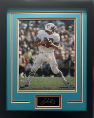 Miami Dolphins Dan Marino Framed Photo (Engraved Series) – Behind the  Glass, LLC