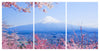 Skylines -Mount Fuji 3-Panel Acrylic Wall Art