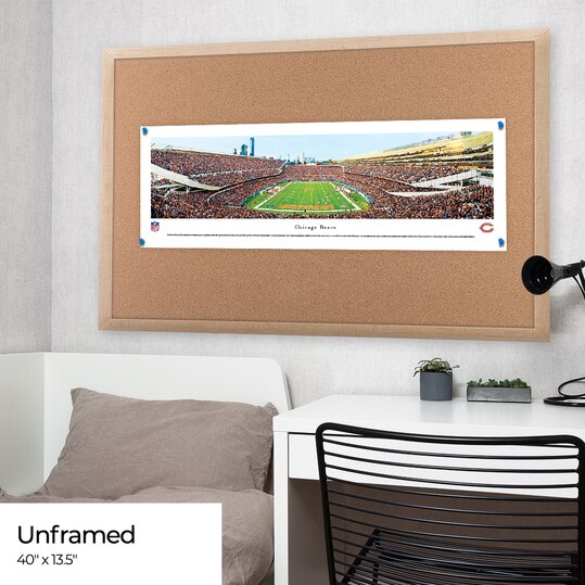 Chicago Bears Panoramic - Soldier Field Picture - End Zone
