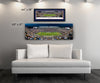 Chicago Bears Panoramic Picture - Soldier Field Stadium Panorama