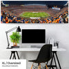Denver Broncos Panoramic - Mile High Stadium Picture