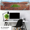 Denver Broncos Panoramic Picture - Sports Authority Field at Mile High Stadium Panorama