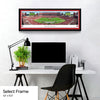 Tampa Bay Buccaneers Panorama - Raymond James Stadium Picture