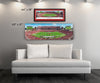 Tampa Bay Buccaneers Panorama - Raymond James Stadium Picture