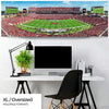 Tampa Bay Buccaneers Panorama - Raymond James Stadium Picture