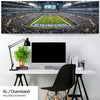 Indianapolis Colts Panorama - Lucas Oil Stadium Picture