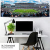 Philadelphia Eagles Panoramic Picture - Lincoln Financial Field Panorama