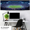 New York Giants Panoramic Picture - MetLife Stadium Panorama