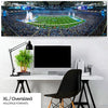 Detroit Lions Panoramic Picture - Ford Field