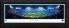 Carolina Panthers Panoramic Picture - Bank of America Stadium