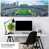 Carolina Panthers Panorama - Bank of America Stadium Picture