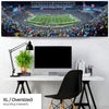 New England Patriots Panoramic - Gillette Stadium Picture