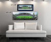 Seattle Seahawks Panoramic Picture - CenturyLink Field