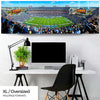 Tennessee Titans Panoramic - LP Field Picture