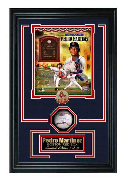 Pedro Martinez  Baseball Shadow Box Frame.