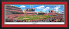 MLB REDS Panoramic Picture - Great American Ballpark MLB Wall Decor