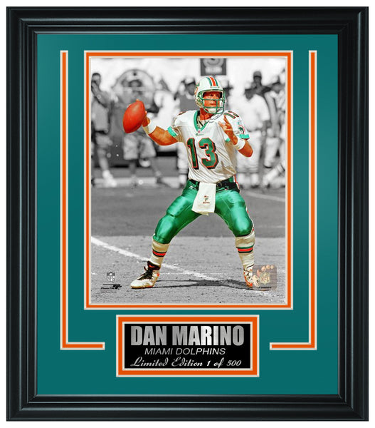 Miami Dolphins Dan Marino Limited Edition Frame FTSLV212