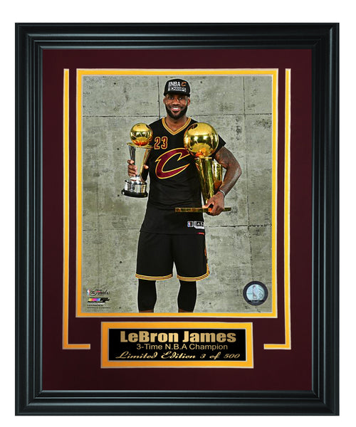 Cavaliers - LeBron James 8x10 Framed FTSTC186