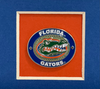 College -Gators Ready Made Frame with Pin For Your horizontal or vertical 8x10 Photo