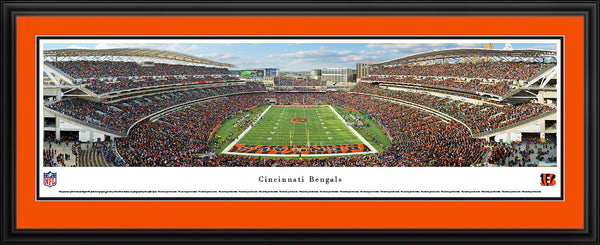 Bengals-Panoramic